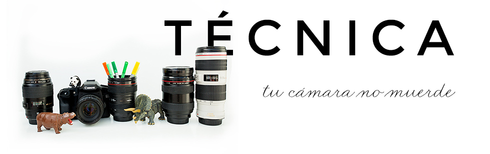 tecnica2